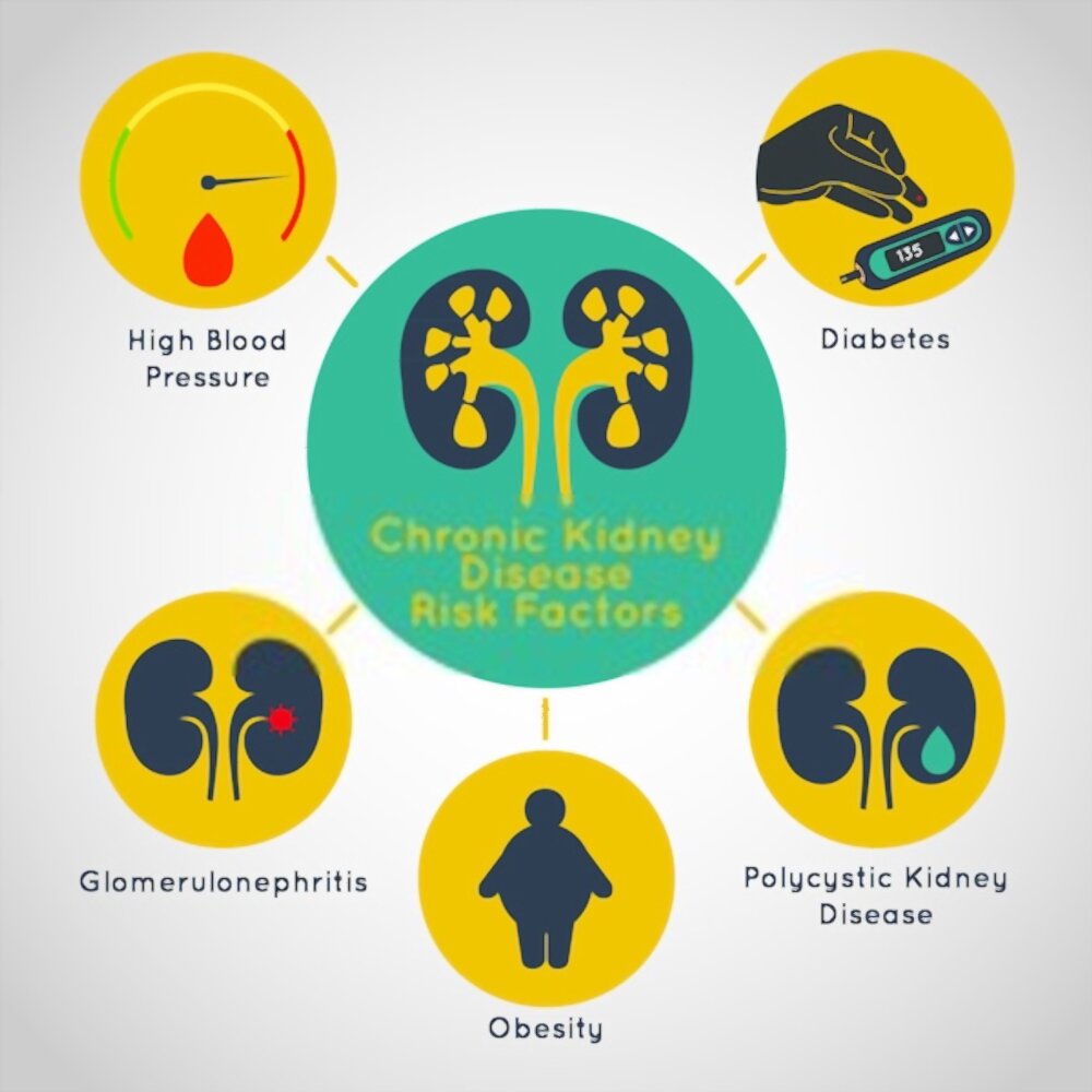 The Chronic Kidney Disease Solution Reviews